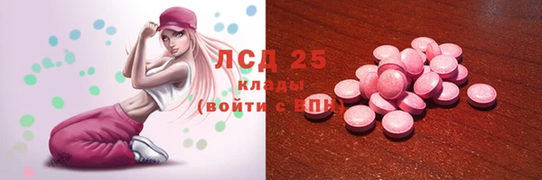 сатива Вязьма