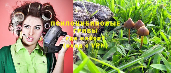 тгк Волосово