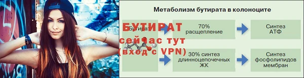 сатива Вязьма