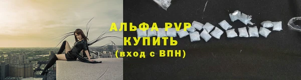 сатива Вязьма