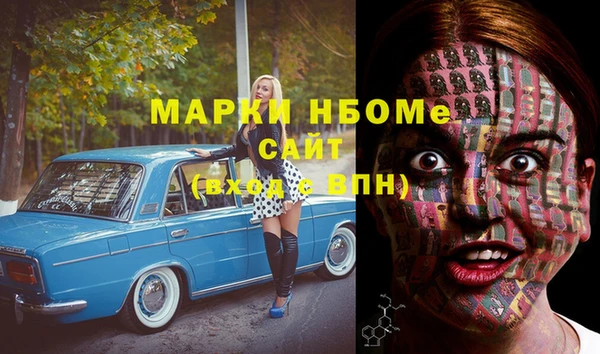 сатива Вязьма