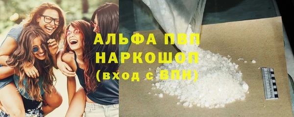 сатива Вязьма